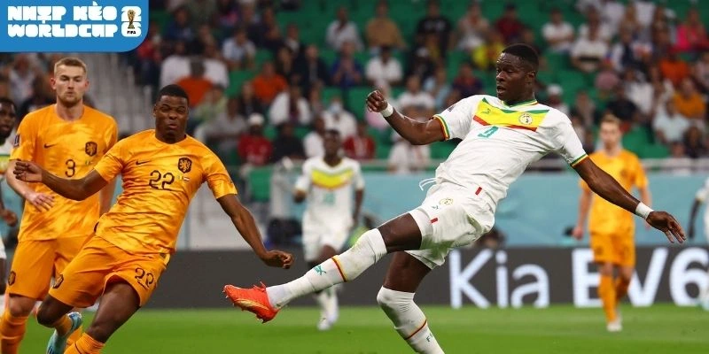 Soi kèo châu Âu trận Nam Phi vs Hàn Quốc