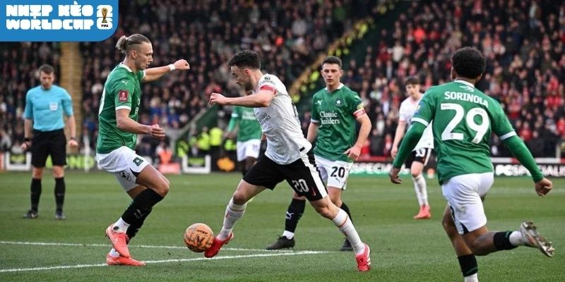 Những loại kèo nên tham gia trận New Zealand vs Bỉ