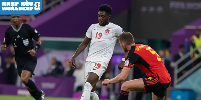 Phân tích odds châu Âu, chọn cửa Canada thắng