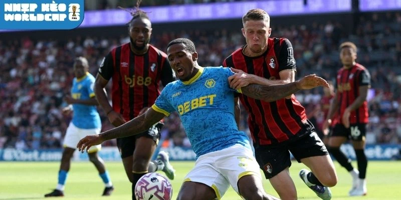 Sơ đồ dự kiến trận thư hùng Nam Phi vs Hàn Quốc