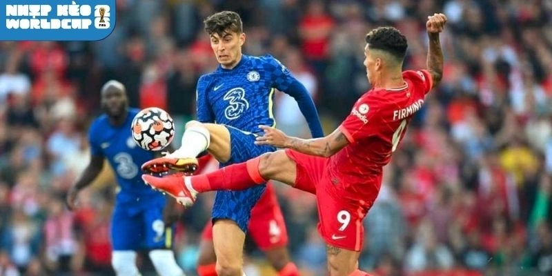 Sơ đồ đội hình dự kiến của Algérie và Áo