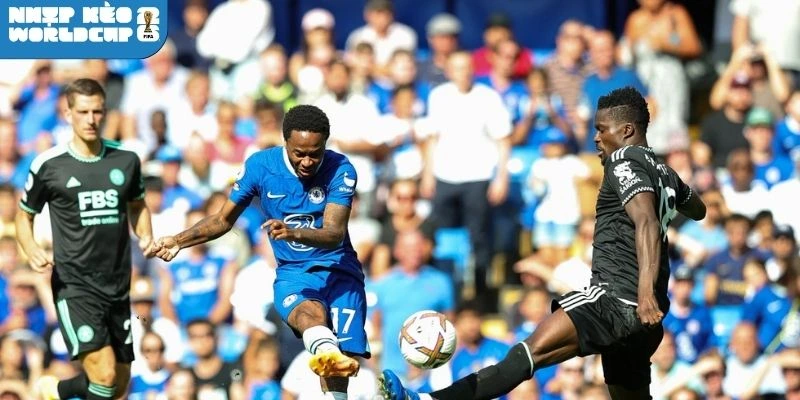 Sơ đồ xuất phát dự kiến Na Uy vs Sénégal