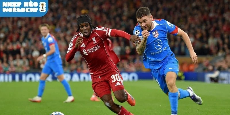 Phương án đội hình của Curacao và Bờ Biển Ngà