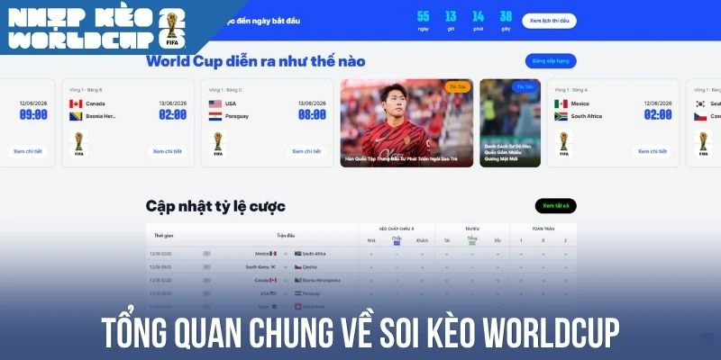Tổng quan chung về soi kèo Worldcup