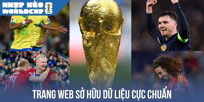 Trang web sở hữu dữ liệu cực chuẩn